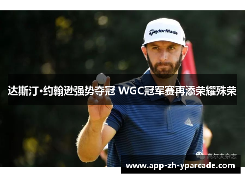 达斯汀·约翰逊强势夺冠 WGC冠军赛再添荣耀殊荣